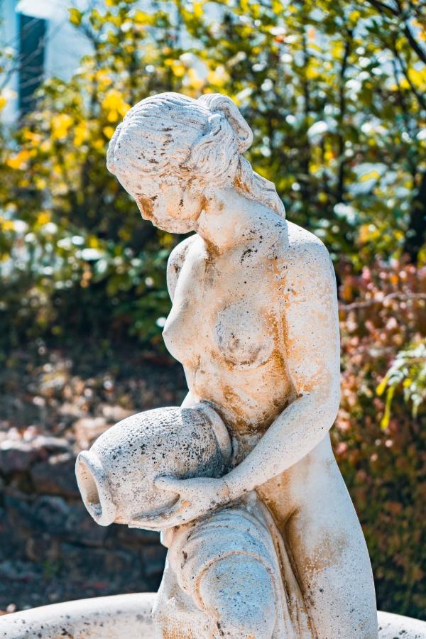 Le Mas Des Amandiers Saint-Paul-de-Vence Buitenkant foto